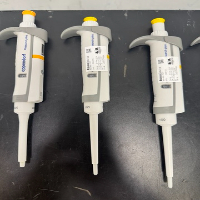 Eppendorf Research Plus Single Channel Pipettes image 3